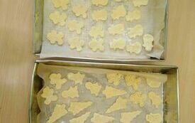 IMG_20231204_102328