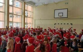 IMG_20231206_094703239