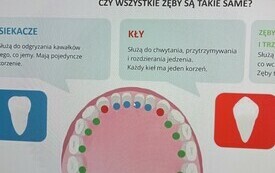  Dziel się uśmiechem 1