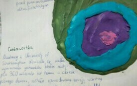 Nasze Projekty #Chemia 13