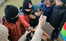 Pomagamy ptakom przetrwać zimę - PSP Łomno 3