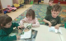Dzień dinozaura w przedszkolu w Chybicach 53