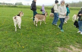 IMG_20240417_122201