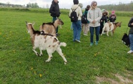 IMG_20240417_122200
