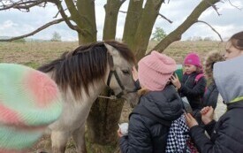 IMG_20240417_121951