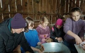 IMG_20240417_112900