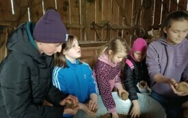 IMG_20240417_112858