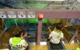 Wycieczka do Orientarium ZOO oraz Centrum Nauki i Techniki EC1 w Łodzi. 22