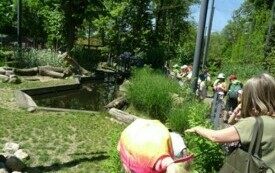 Wycieczka do Orientarium ZOO oraz Centrum Nauki i Techniki EC1 w Łodzi. 29