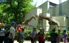 Wycieczka do Orientarium ZOO oraz Centrum Nauki i Techniki EC1 w Łodzi. 32