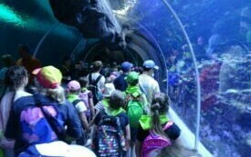 Wycieczka do Orientarium ZOO oraz Centrum Nauki i Techniki EC1 w Łodzi. 43