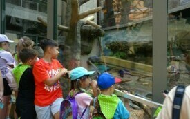 Wycieczka do Orientarium ZOO oraz Centrum Nauki i Techniki EC1 w Łodzi. 45