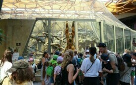 Wycieczka do Orientarium ZOO oraz Centrum Nauki i Techniki EC1 w Łodzi. 46