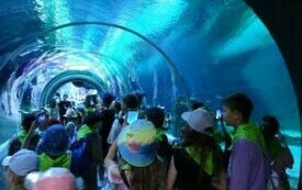 Wycieczka do Orientarium ZOO oraz Centrum Nauki i Techniki EC1 w Łodzi. 47