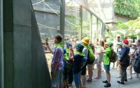 Wycieczka do Orientarium ZOO oraz Centrum Nauki i Techniki EC1 w Łodzi. 49