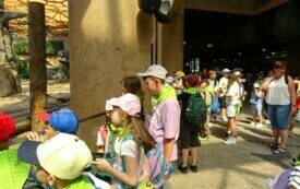 Wycieczka do Orientarium ZOO oraz Centrum Nauki i Techniki EC1 w Łodzi. 51