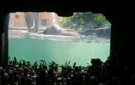 Wycieczka do Orientarium ZOO oraz Centrum Nauki i Techniki EC1 w Łodzi. 53