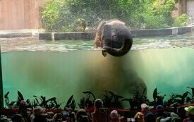 Wycieczka do Orientarium ZOO oraz Centrum Nauki i Techniki EC1 w Łodzi. 56