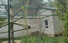 Przedszkolaki zwiedzają  ZOO - PSP Łomno 14