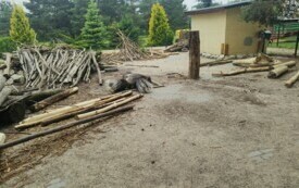 Przedszkolaki zwiedzają  ZOO - PSP Łomno 16