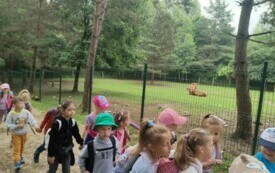 Przedszkolaki zwiedzają  ZOO - PSP Łomno 18