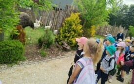 Przedszkolaki zwiedzają  ZOO - PSP Łomno 20