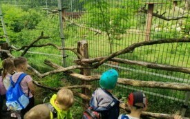Przedszkolaki zwiedzają  ZOO - PSP Łomno 23