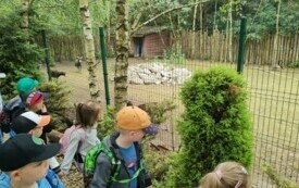 Przedszkolaki zwiedzają  ZOO - PSP Łomno 30