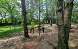 Przedszkolaki zwiedzają  ZOO - PSP Łomno 42