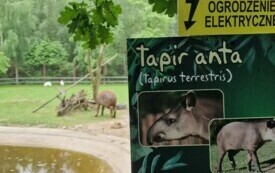Przedszkolaki zwiedzają  ZOO - PSP Łomno 44