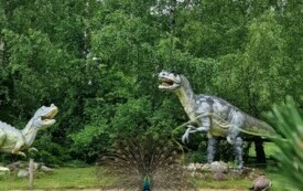Przedszkolaki zwiedzają  ZOO - PSP Łomno 45