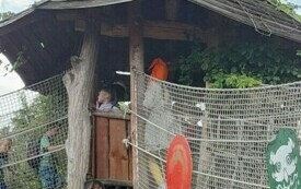Wycieczka do Magicznych Ogrod&oacute;w 9