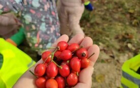 Projekt edukacyjny - Klasa w terenie 1