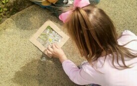 Projekt edukacyjny - Klasa w terenie 4