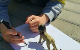Projekt edukacyjny - Klasa w terenie 11