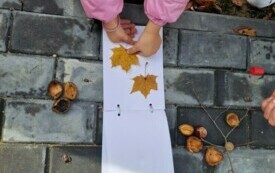 Projekt edukacyjny - Klasa w terenie 19