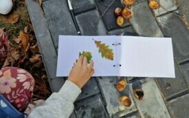 Projekt edukacyjny - Klasa w terenie 20