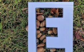 Projekt edukacyjny - Klasa w terenie 25