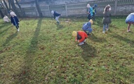 Projekt edukacyjny - Klasa w terenie 29