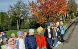 Projekt edukacyjny - Klasa w terenie 33