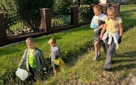 IMG-5531