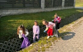 IMG-5528