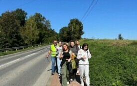 IMG-8156