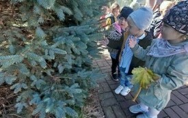 Międzynarodowy Dzień Drzewa w przedszkolu w Chybicach 24