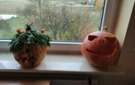  Dzień Dyni w PSP w Szerzawach 13