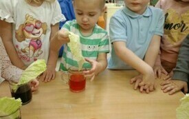 IMG20241113100541