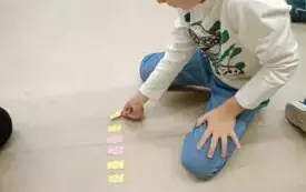 IMG20241126093850