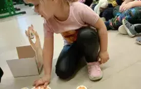 IMG20241126093437