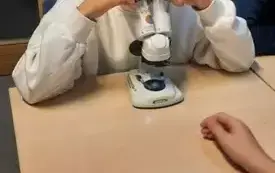 Wycieczka klas sz&oacute;stych do Kielc- PSP Chybice 33