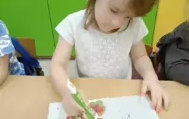 IMG20241216122438